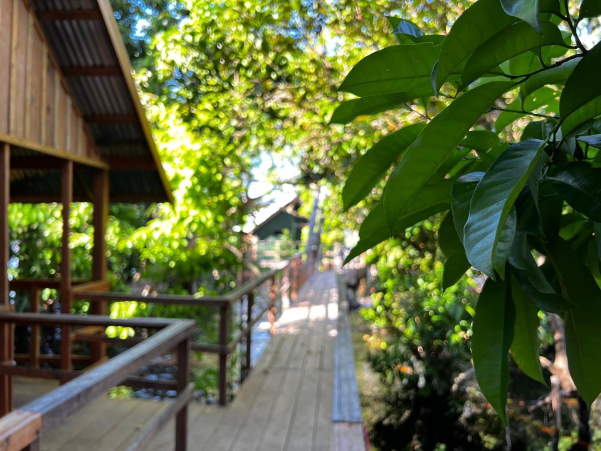 Hotel Amazônia Exxperience à Paricatuba Extérieur photo